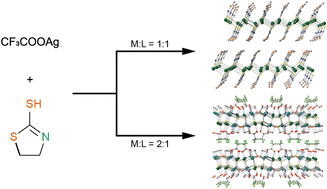 Graphical abstract: Selective synthesis of two-dimensional semiconductive coordination polymers with silver–sulfur network