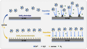 Graphical abstract: Highly stable and reversible Zn anodes enabled by an electrolyte additive of sucrose