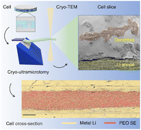 Graphical abstract: Cryo-ultramicrotomy enables TEM characterization of global lithium/polymer interfaces