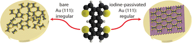 Graphical abstract: Iodine passivation facilitates on-surface synthesis of robust regular conjugated two-dimensional organogold networks on Au(111)