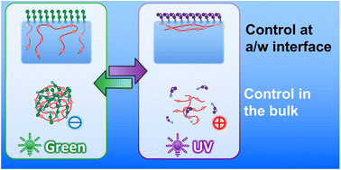 Graphical abstract: Photoresponsive arylazopyrazole surfactant/PDADMAC mixtures: reversible control of bulk and interfacial properties
