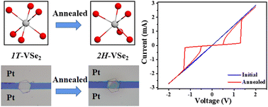 Graphical abstract: Chemical-vapor-deposited 2D VSe2 nanosheet with threshold switching behaviors for Boolean logic calculations and leaky integrate-and-fire functions