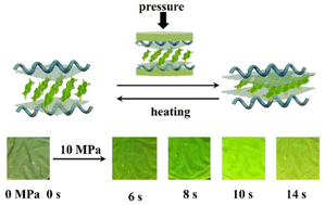 Graphical abstract: A metastable molecular array guided by the synergy of confinement and charge repulsion for piezochromic sensors