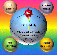 Graphical abstract: Thermally stable rare-earth-free double perovskite phosphors toward dual-mode optical thermometry and dual-functional lighting sources