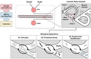 Graphical abstract: Capillary force-driven reverse-Tesla valve structure for microfluidic bioassays