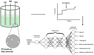 Graphical abstract: Polymer bead size revealed via neural network analysis of single-entity electrochemical data