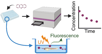Graphical abstract: Rapid determination of chemical losses in a microplate bioassay using fluorescence spectroscopy