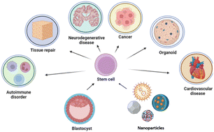 Graphical abstract: Nanotechnology at the crossroads of stem cell medicine