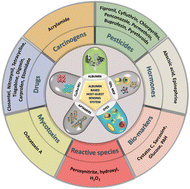 Graphical abstract: Albumin host for supramolecular fluorescence recognition