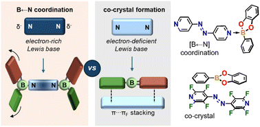 Graphical abstract: Co-crystal formation vs. boron coordination: fluorination in azopyridines regulates supramolecular competition