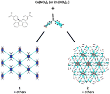 Graphical abstract: Exploring the formation of coordination polymers based on dicarboxylic ligands derived from fluorene and their adsorption abilities