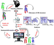 Graphical abstract: Prediction of the 3D conformation of a small peptide vaccine targeting Aβ42 oligomers