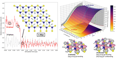 Graphical abstract: Half-metallic and ferromagnetic phases in CrSH monolayers using DFT+U and BO-MD calculations