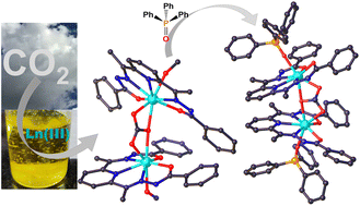Graphical abstract: An insight into the route from CO2 fixation to CO32−-bridged dinuclear lanthanide(iii) complexes featuring inner coordination post-synthetic modification