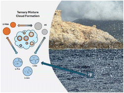 Graphical abstract: Salting out and nitrogen effects on cloud-nucleating ability of amino acid aerosol mixtures
