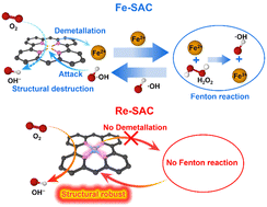 Graphical abstract: Inherent anti-Fenton property of single-atom rhenium for the ultra-durable oxygen reduction reaction