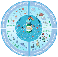 Graphical abstract: Environmental behavior, risks, and management of antidepressants in the aquatic environment