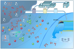 Graphical abstract: Microbial dynamics at different stages of drinking water treatment systems