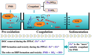 Graphical abstract: Effect of peroxymonosulfate pre-oxidation coupled with subsequent Fe-based coagulation on the mitigation of organic matter and the formation of disinfection by-products