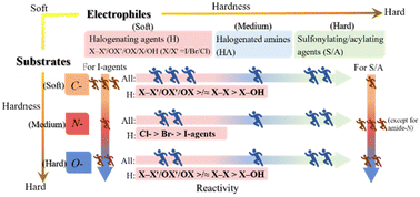 Graphical abstract: Reactivity of various halogenating agents toward different substrates in electrophilic substitution reactions: a computational study