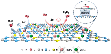 Graphical abstract: An inter-atomic synergistic Co–Zn diatomic catalyst for efficient H2O2 electrosynthesis in neutral and alkaline media