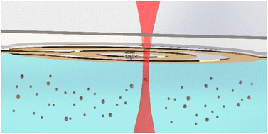 Graphical abstract: A hybrid dielectrophoretic trap–optical tweezers platform for manipulating microparticles in aqueous suspension