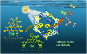 Graphical abstract: A carbazole-based fully conjugated sp2c D–A covalent organic polymer for visible light mediated photocatalytic degradation of rhodamine B and Rose Bengal