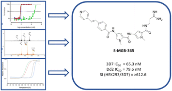 Graphical abstract: S-MGBs bearing amidine tail groups are potent, selective antiplasmodial agents
