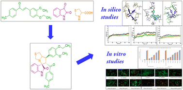 Graphical abstract: Natural product-inspired [3 + 2] cycloaddition-based spirooxindoles as dual anticancer agents: synthesis, characterization, and biological evaluation by in vitro and in silico methods
