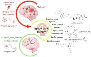 Graphical abstract: Peptide-based amyloid-beta aggregation inhibitors