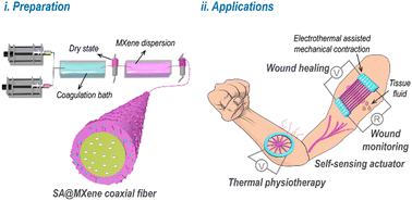 Graphical abstract: Sodium alginate-based coaxial fibers synergistically integrate moisture actuation, length tracing, humidity sensing, and electric heating
