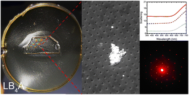 Graphical abstract: Biological metasurfaces based on tailored Luria Bertani Agar growth medium formulations for photonic applications