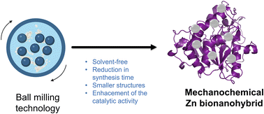 Graphical abstract: Mechanochemical synthesis of Zn-bionanohybrids: size effect at the nanoscale to improve their enzyme-like activity