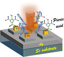 Graphical abstract: 3D nanoplasmonic structure for ultrahigh enhanced SERS with less variability, polarization independence, and multimodal sensing applied to picric acid detection