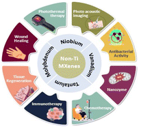 Graphical abstract: An overview of the use of non-titanium MXenes for photothermal therapy and their combinatorial approaches for cancer treatment