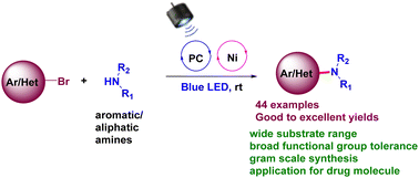 Graphical abstract: Sustainable, precious-metal-free C–N cross coupling through photocatalysis
