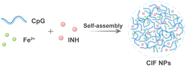Graphical abstract: Metal-coordination-driven self-assembly of DNA nanohybrids for robust intracellular anti-tuberculosis therapy