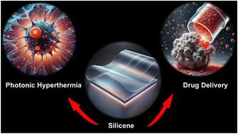 Graphical abstract: Two-dimensional silicene-based technologies in oncology: an emerging avenue