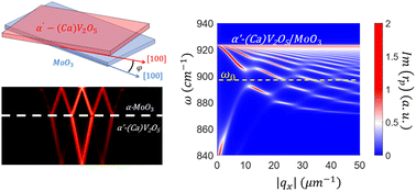 Graphical abstract: Tuning polariton hybridization in hyperbolic hetero-bicrystals by twist angle engineering