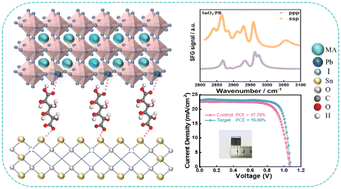 Graphical abstract: Interface-oriented bridges toward efficient carbon-based perovskite solar cells