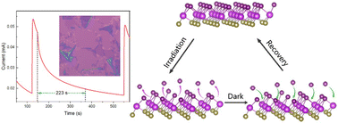 Graphical abstract: Two-dimensional BiTeX crystals with persistent luminescence induced by photochemical reactions