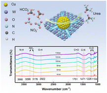 Graphical abstract: Co-reduction coupling of bicarbonate and nitrate toward efficient urea synthesis