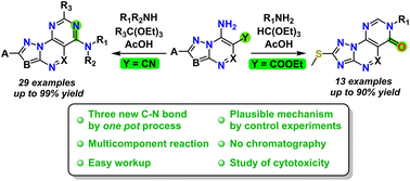 Graphical abstract: Pyrimido[5,4-e]azolo[1,5-a]pyrimidines and pyrimido[4,5-e][1,2,4]triazolo[5,1-c][1,2,4]triazines: one-pot multi-component synthesis and cytotoxic activity
