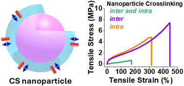 Graphical abstract: Converting high modulus water-based elastomeric core–shell nanoparticle films from viscoelastic to predominantly elastic using di-epoxide crosslinking