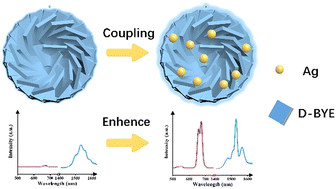 Graphical abstract: Precise control of photoemission and circularly polarized emission achieved through resonant coupling of chiral nanoparticles with Ag particles