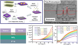 Graphical abstract: Sodium chloride-assisted CVD enables controlled synthesis of large single-layered MoS2