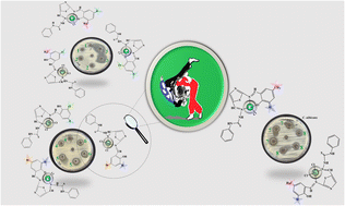 Graphical abstract: Novel α-N-heterocyclic thiosemicarbazone complexes: synthesis, characterization, and antimicrobial of properties investigation