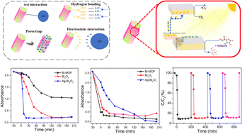 Graphical abstract: Effect of pore structure in bismuth metal–organic framework nanorod derivatives on adsorption and organic pollutant degradation