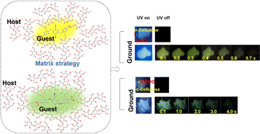Graphical abstract: Long-persistent luminescence by host–guest Förster resonance energy transfer