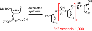 Graphical abstract: Long oligos: direct chemical synthesis of genes with up to 1728 nucleotides